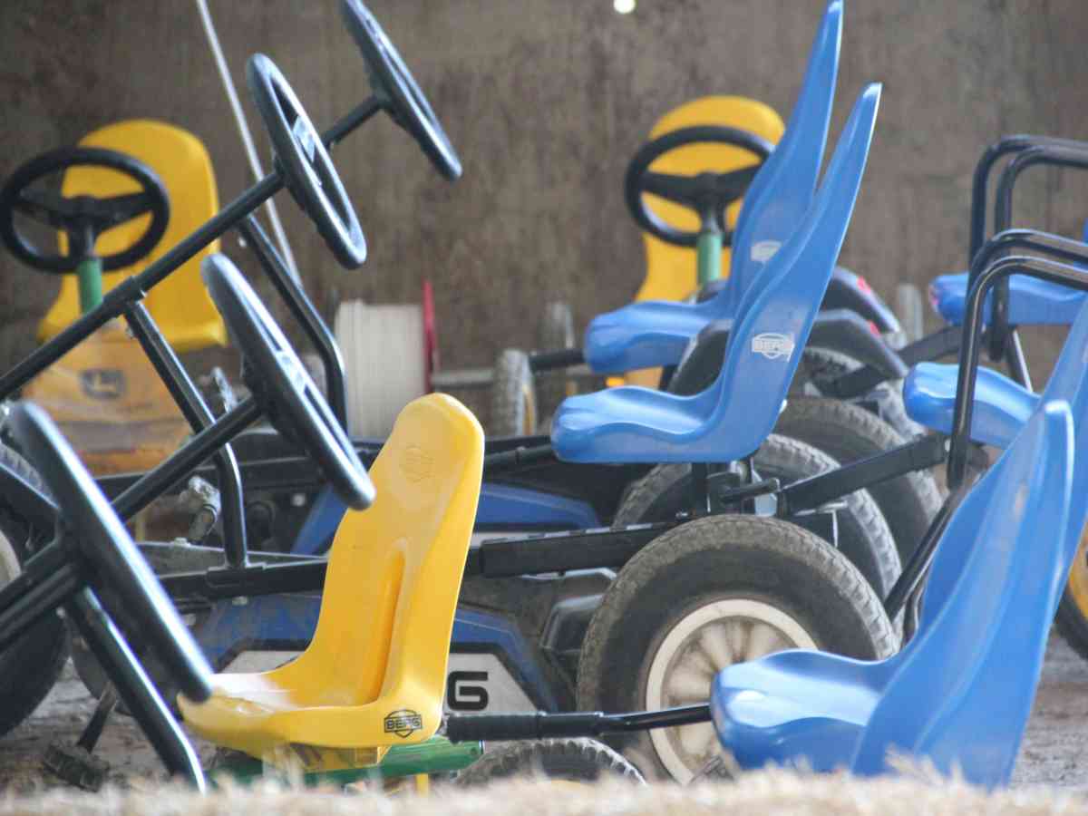 Tapnell Farm Park picture gallery